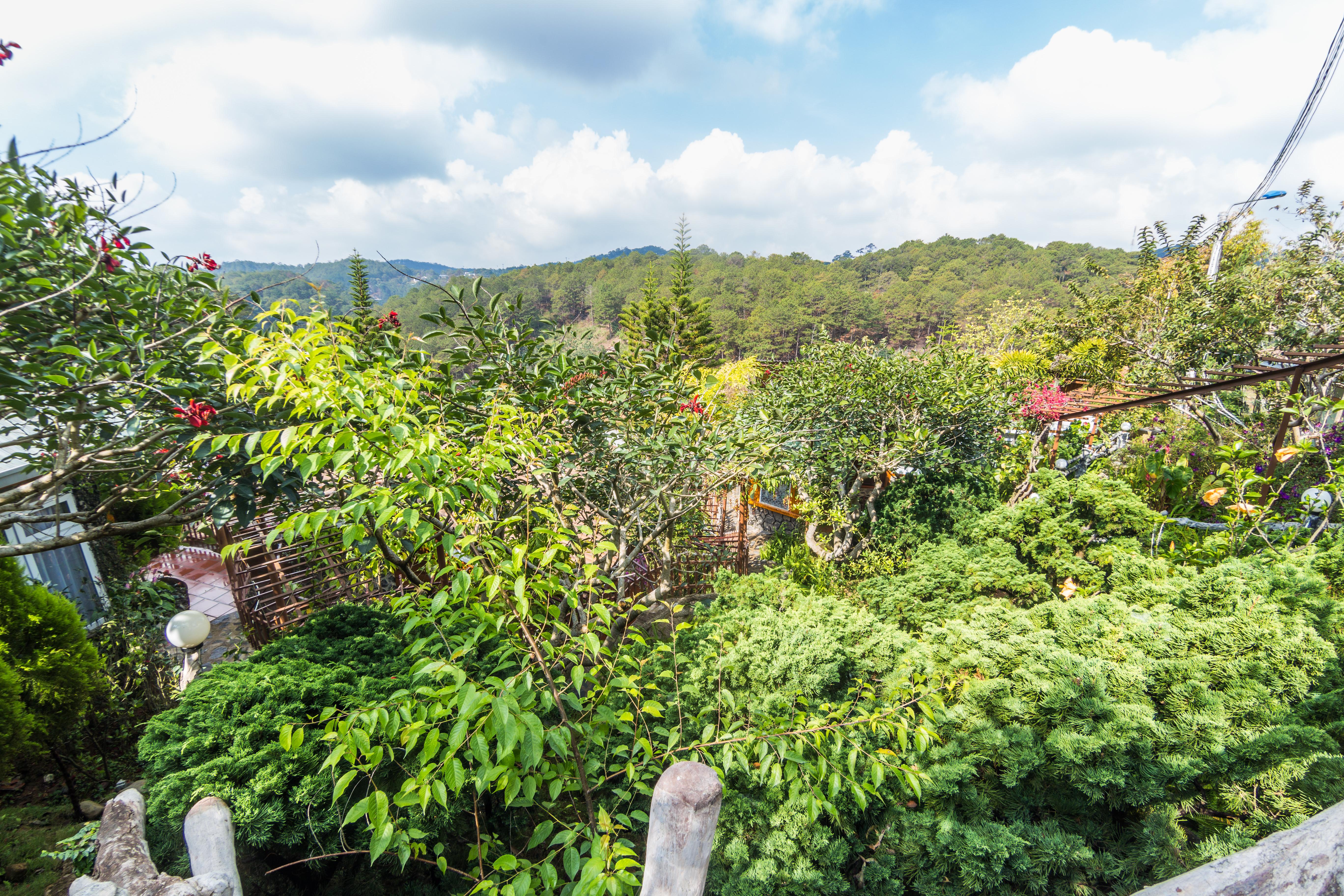 Zen Valley Dalat Exteriör bild